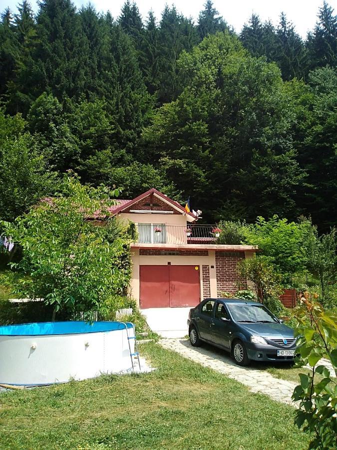 Casa Ozon Vulcan (Hunedoara) Exterior foto