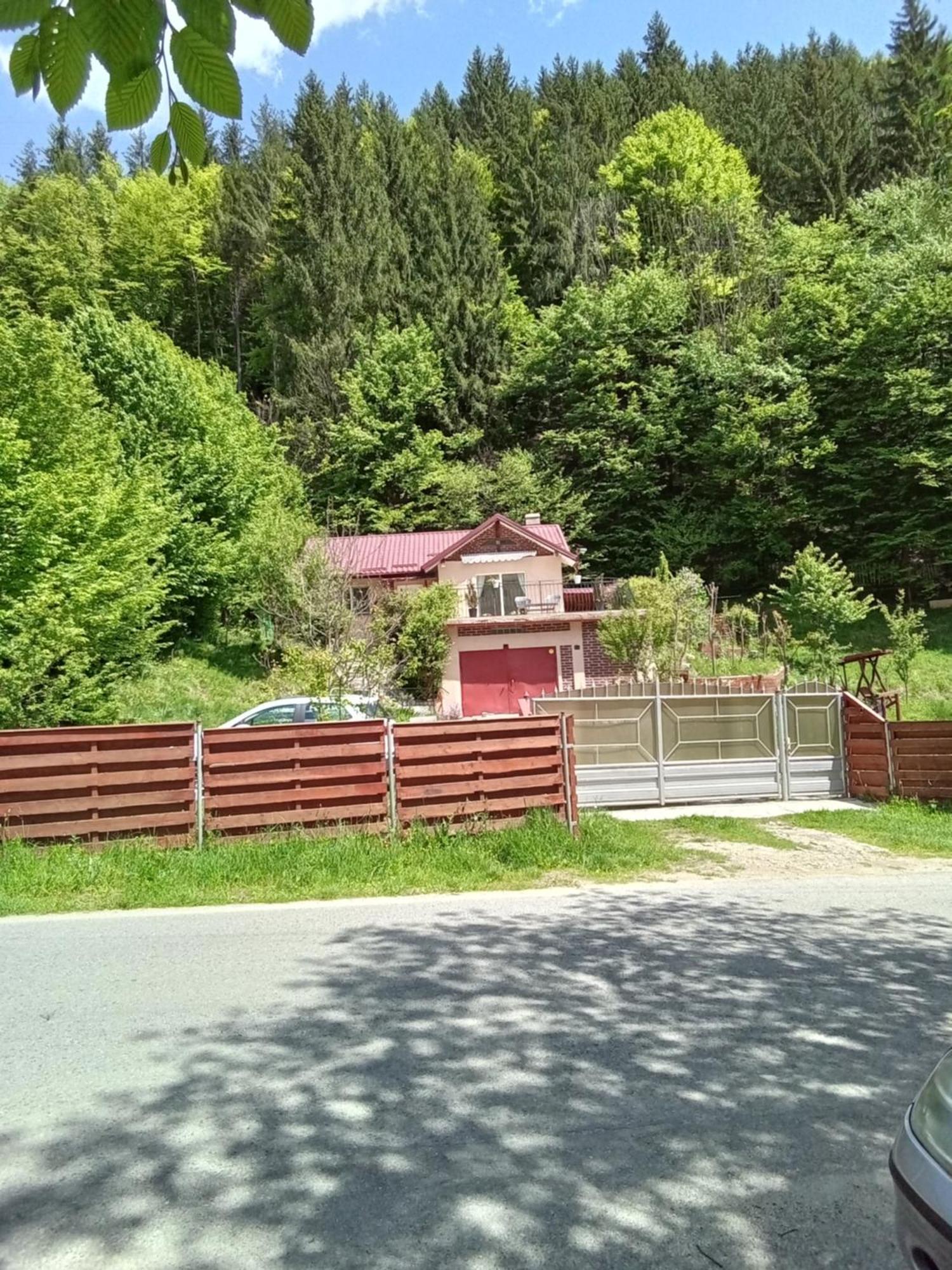 Casa Ozon Vulcan (Hunedoara) Exterior foto