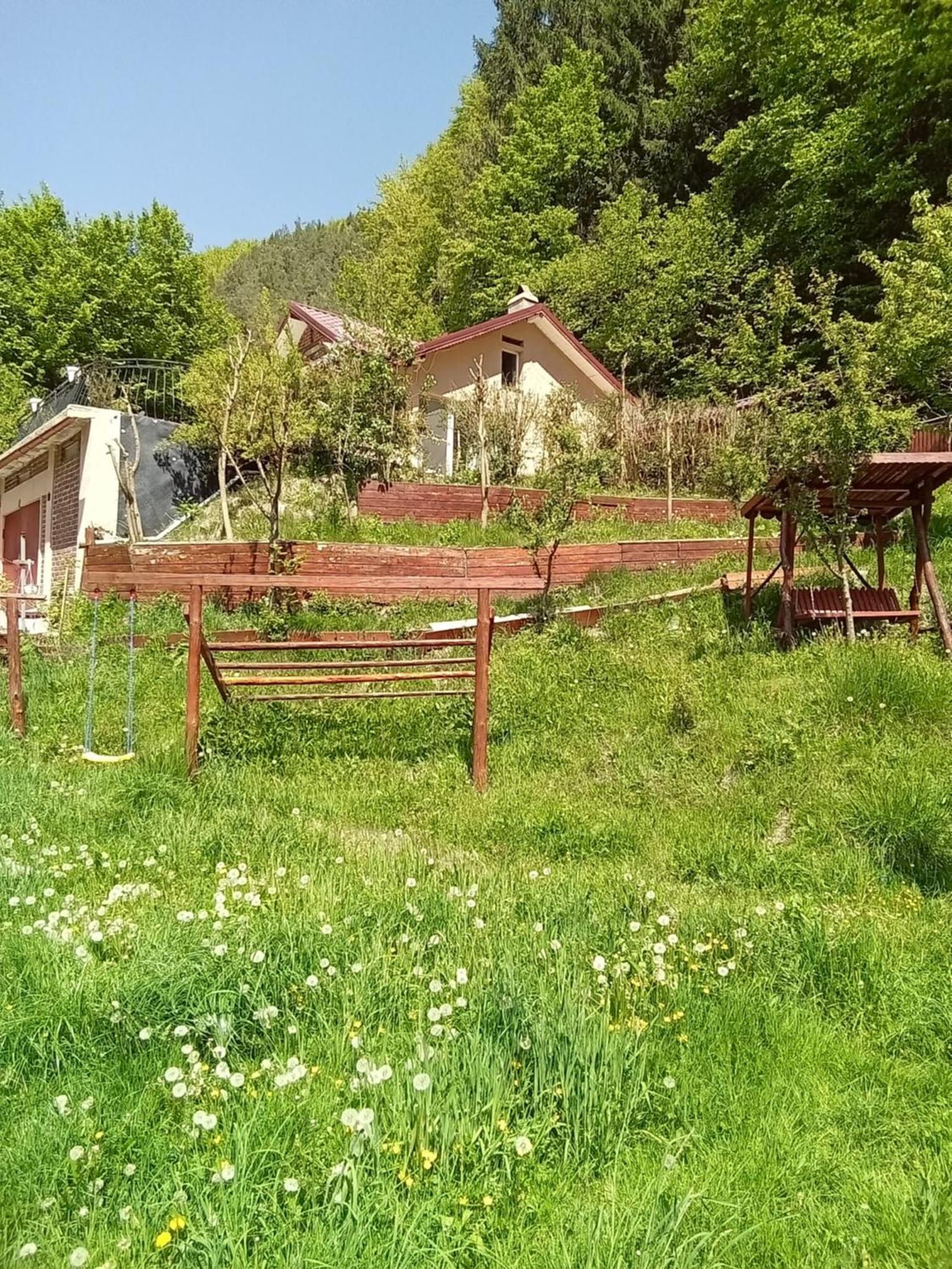 Casa Ozon Vulcan (Hunedoara) Exterior foto