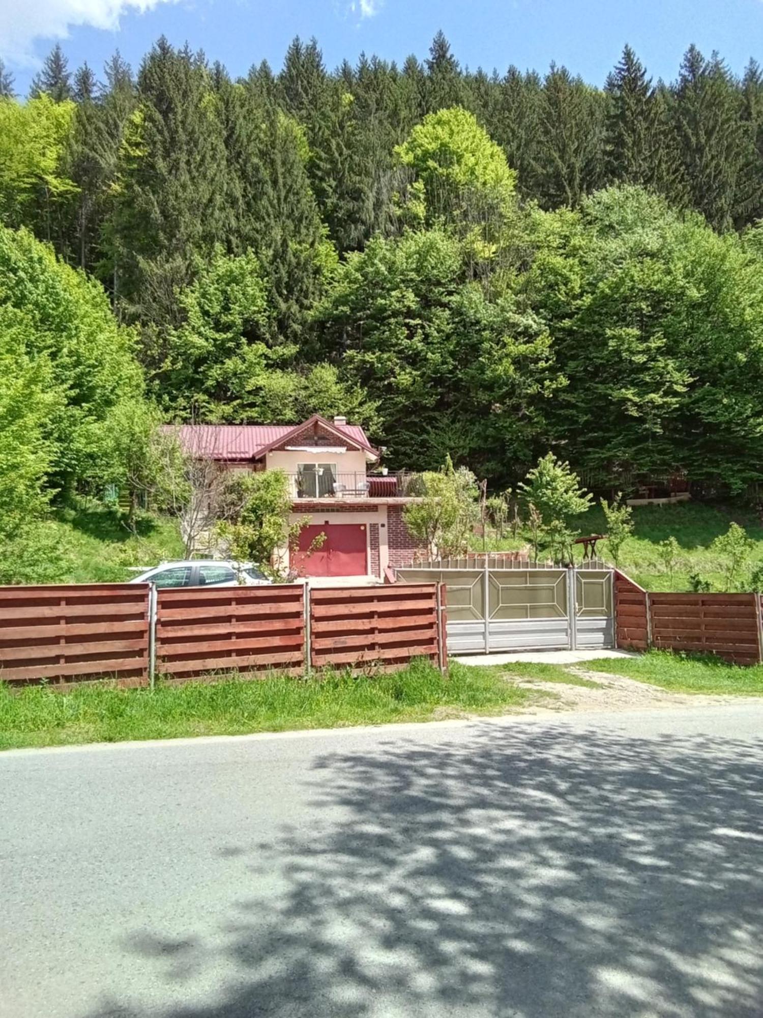 Casa Ozon Vulcan (Hunedoara) Exterior foto