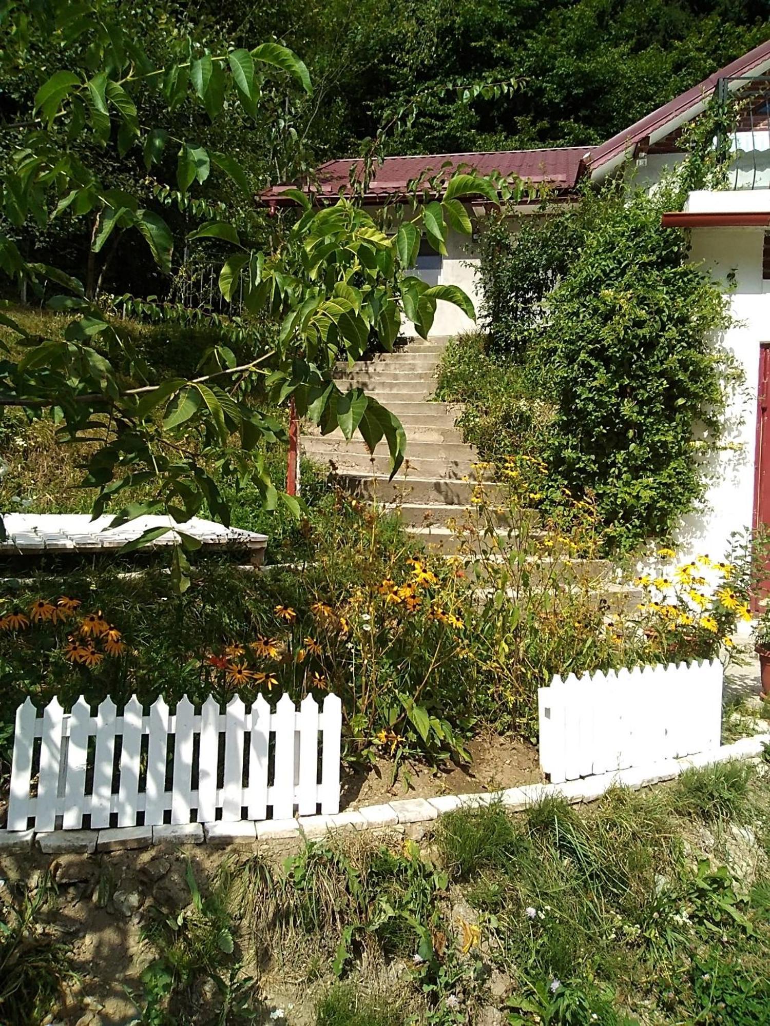 Casa Ozon Vulcan (Hunedoara) Exterior foto