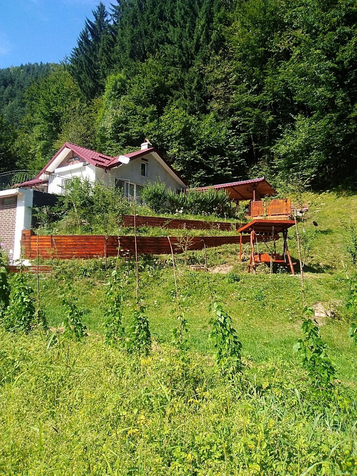 Casa Ozon Vulcan (Hunedoara) Exterior foto