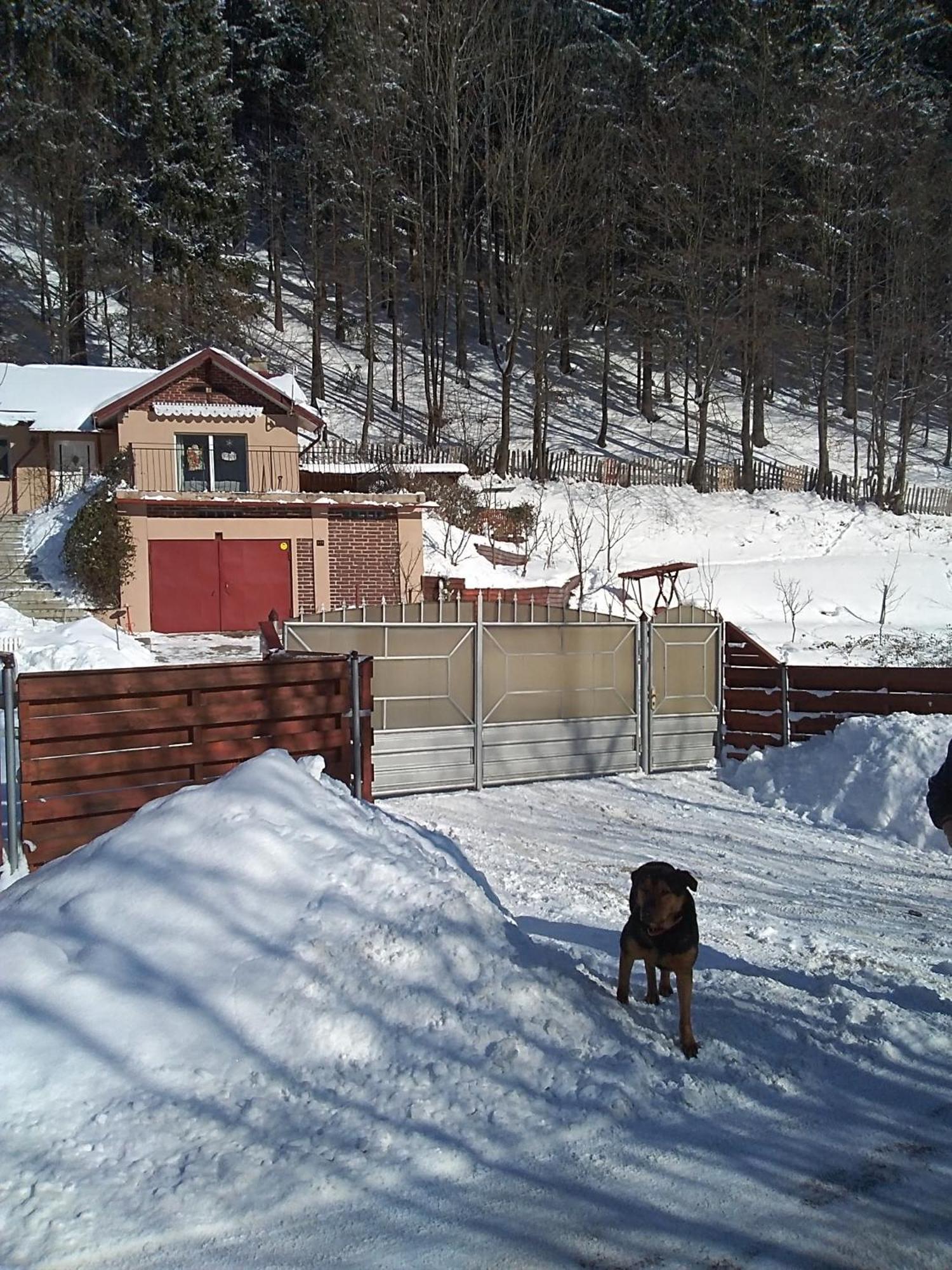 Casa Ozon Vulcan (Hunedoara) Exterior foto