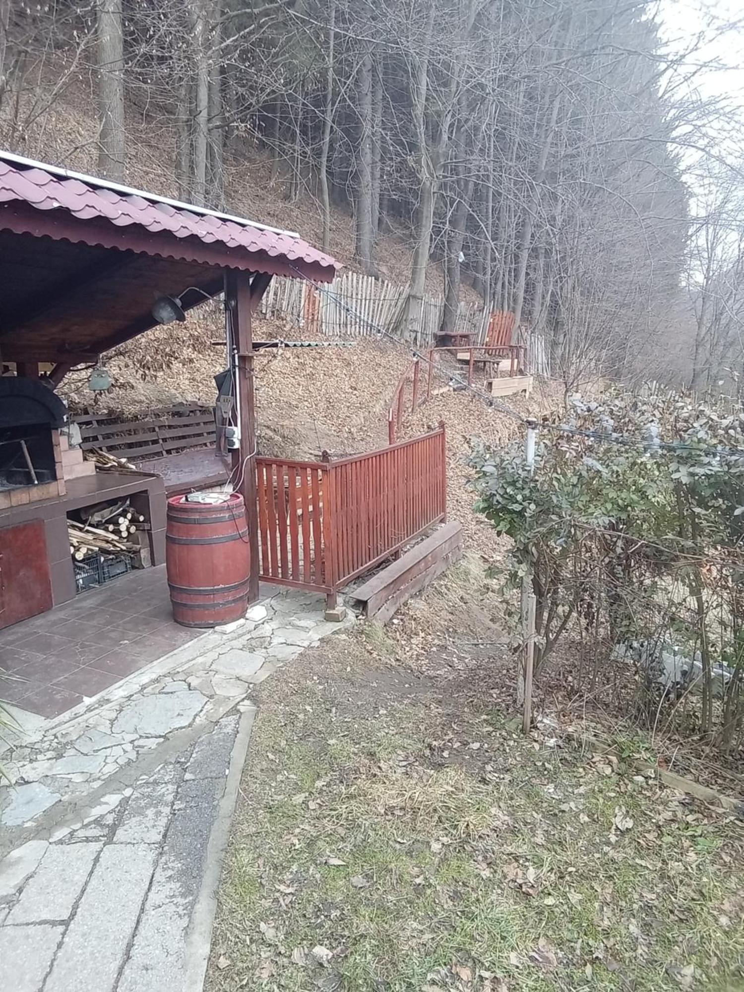 Casa Ozon Vulcan (Hunedoara) Exterior foto