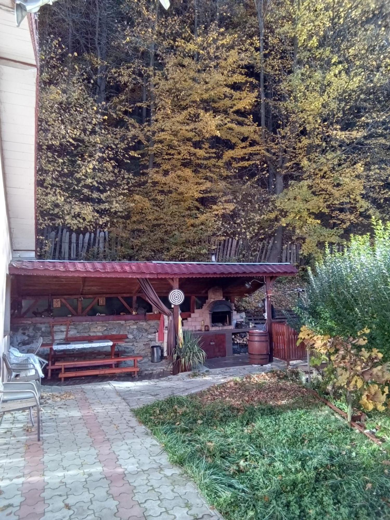 Casa Ozon Vulcan (Hunedoara) Exterior foto